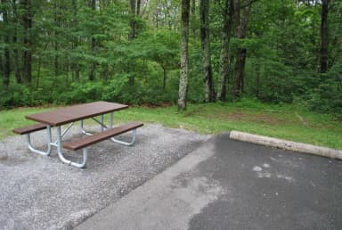 Mathews Arm Campground – Site A088 (Tent Pad)