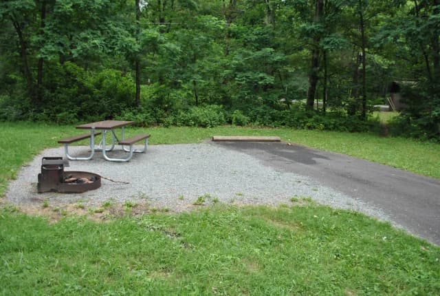 Mathews Arm Campground – Site A089