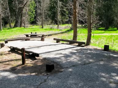 Site 019 at Summerdale Campground