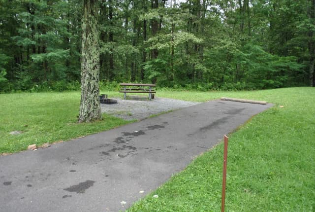 Mathews Arm Campground – Site A090