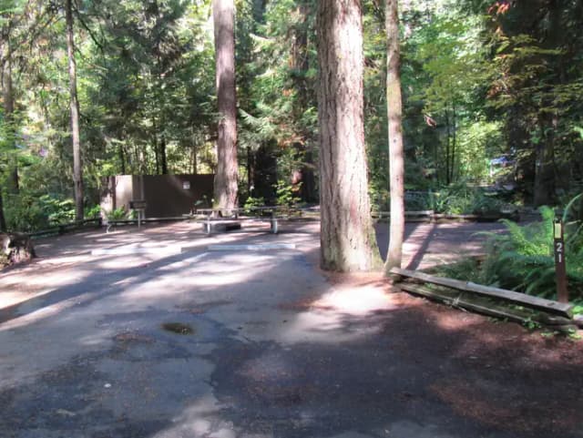 Whole site view