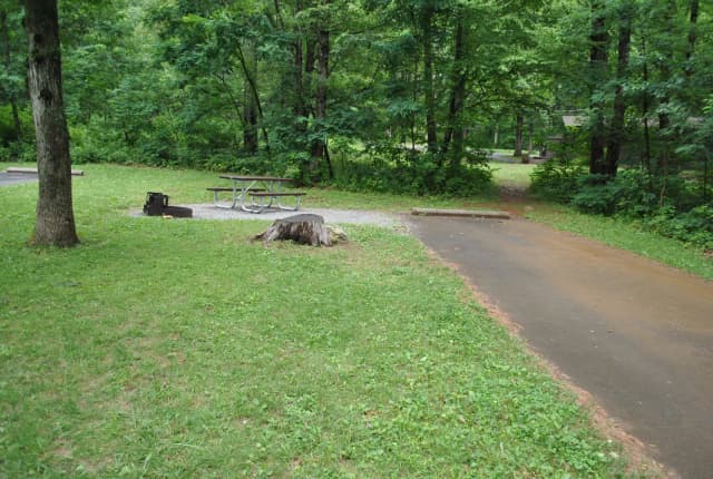 Mathews Arm Campground – Site A091