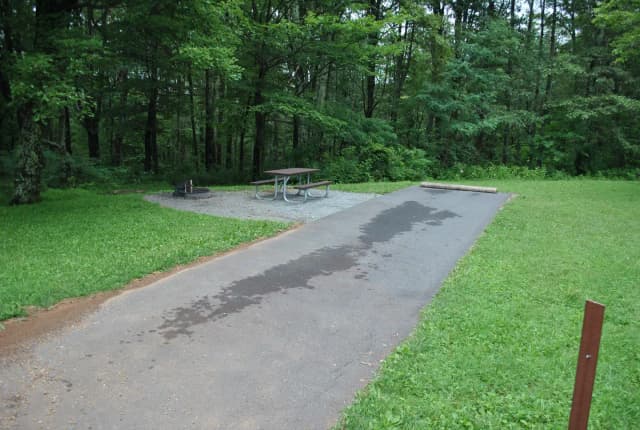 Mathews Arm Campground – Site A092