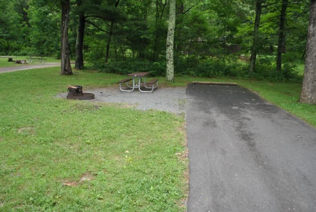 Mathews Arm Campground – Site A093