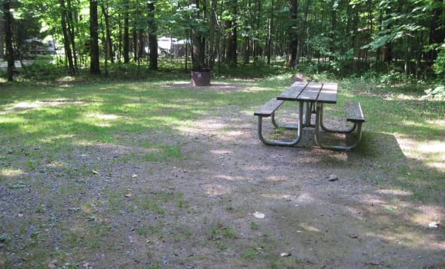 Site #12