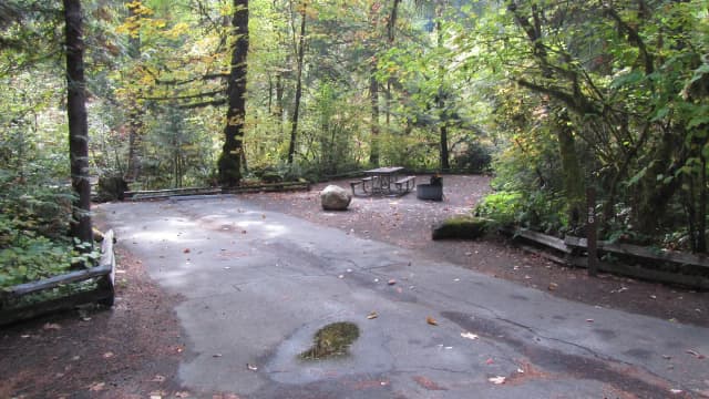 Nice private site with medium sized tent pad