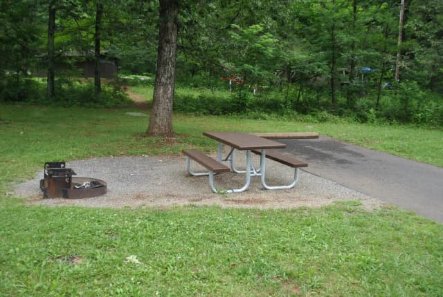 Mathews Arm Campground – Site A095