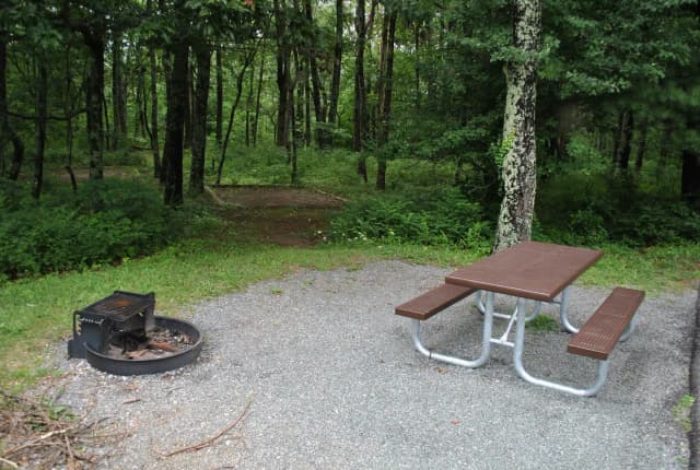 Mathews Arm Campground – Site A096