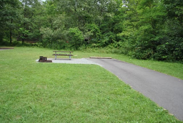 Mathews Arm Campground – Site A097