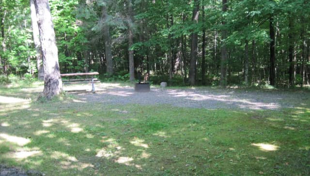 Site #20