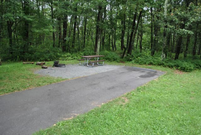 Mathews Arm Campground – Site A098