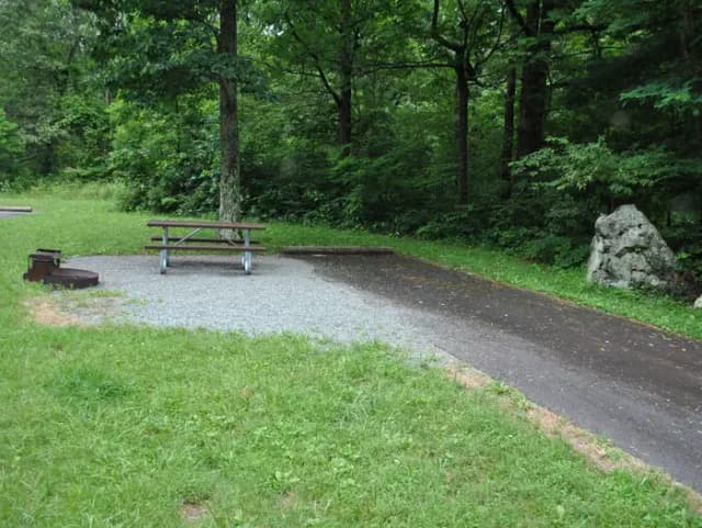 Mathews Arm Campground – Site A099