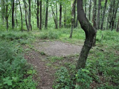 Mathews Arm Campground – Site A098 (Tent Pad)