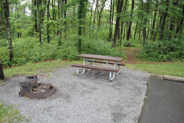 Mathews Arm Campground – Site A100
