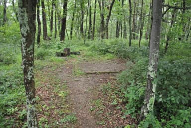 Mathews Arm Campground – Site A100 ( Tent Pad)