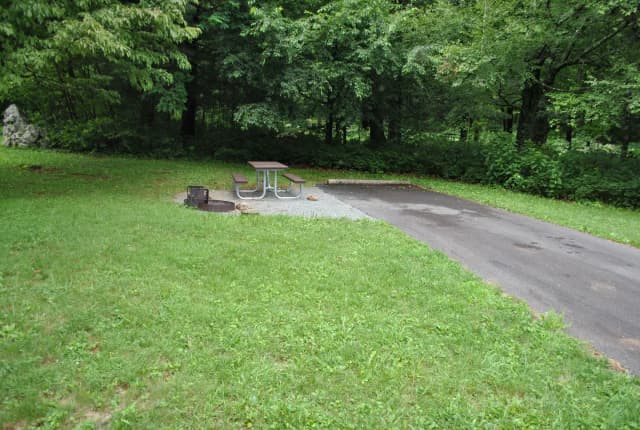 Mathews Arm Campground – Site A101