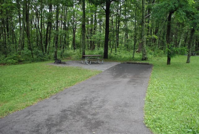 Mathews Arm Campground – Site A102