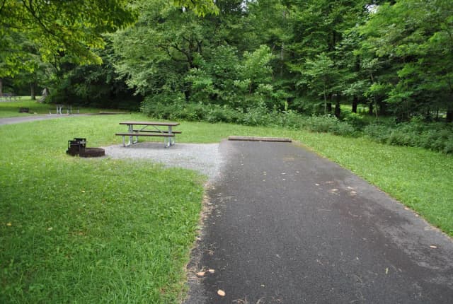 Mathews Arm Campground – Site A103