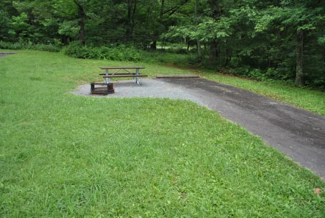 Mathews Arm Campground – Site A105