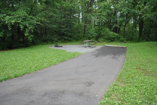 Mathews Arm Campground – Site A106
