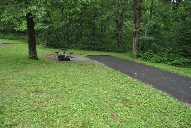 Mathews Arm Campground – Site A107