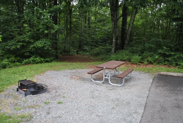 Mathews Arm Campground – Site A108