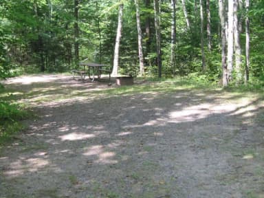 Site 002 at Moose Lake