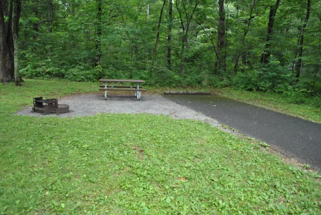 Mathews Arm Campground – Site A109