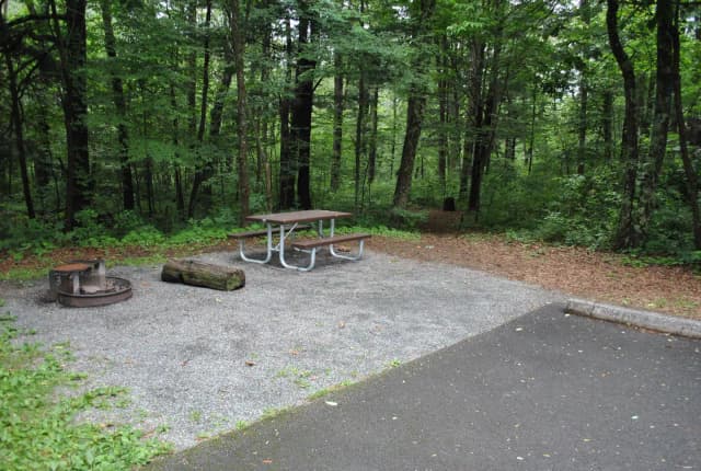 Mathews Arm Campground – Site A110