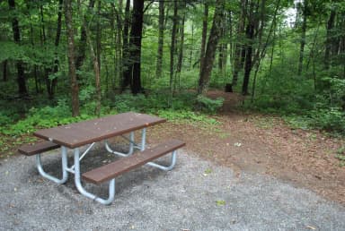 Mathews Arm Campground – Site A110 (Tent Pad)