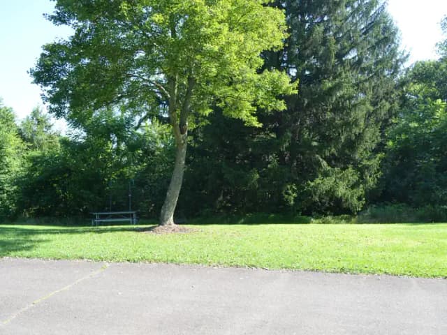Crooked Creek Lake - Site 25