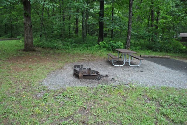 Mathews Arm Campground – Site A111