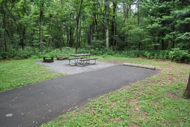 Mathews Arm Campground – Site A112