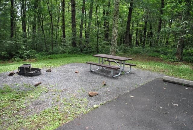 Mathews Arm Campground – Site A113