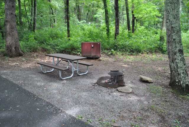 Mathews Arm Campground – Site A115