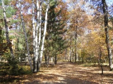 Campsite #80