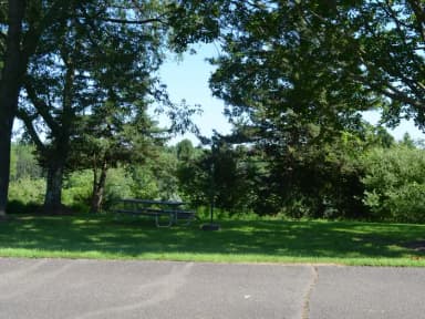 Crooked Creek Lake - Site 31