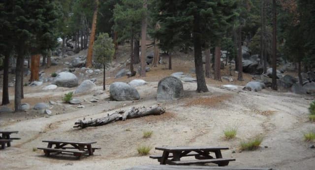 Picnic benches.