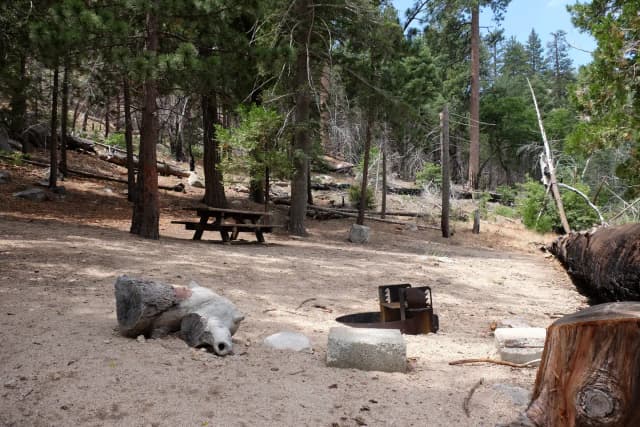 Campsite wih picnic table and firepit.
