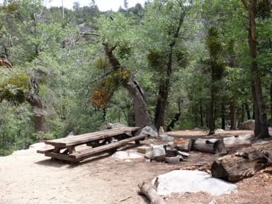 Picnic table with fire pit.