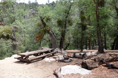 Site 002, Picnic table with fire pit.