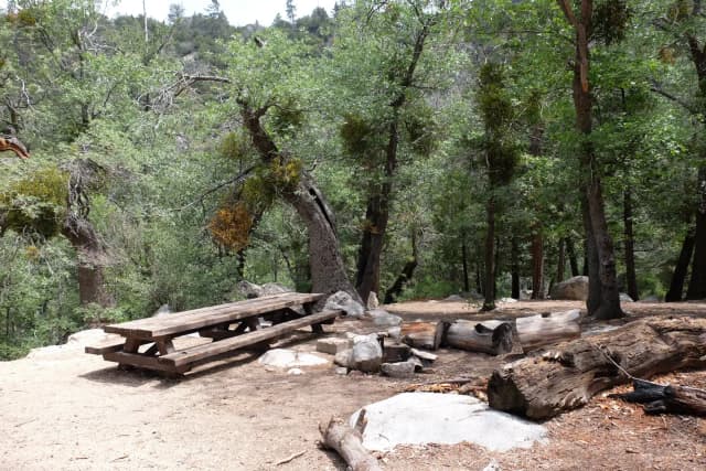 Picnic table with fire pit.