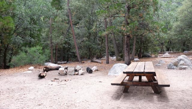 Picnic table with fire pit.
