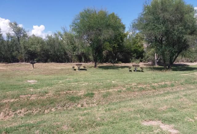 Flat, grassy area with picnic tables and a raised grill