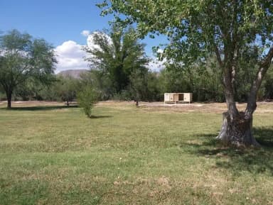 Bear box and picnic tables sit in a flat, grassy area with trees