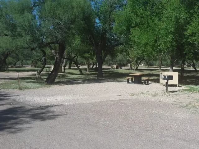Shady campsite