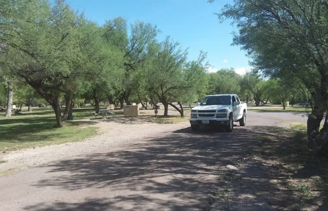 Rio Grande Village #43