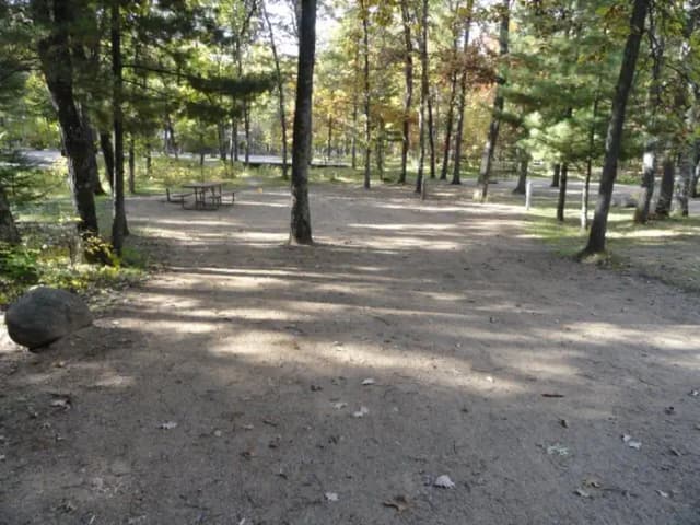 Campsite #113