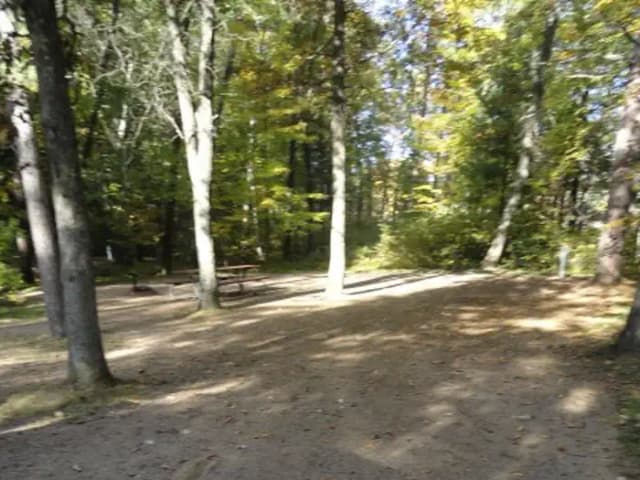 Campsite #116