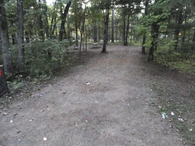 Campsite #117